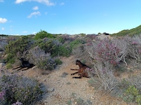 Chemin vers le son parc et ses plages