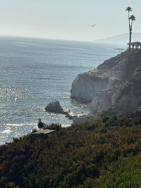 Afternoon view from the property