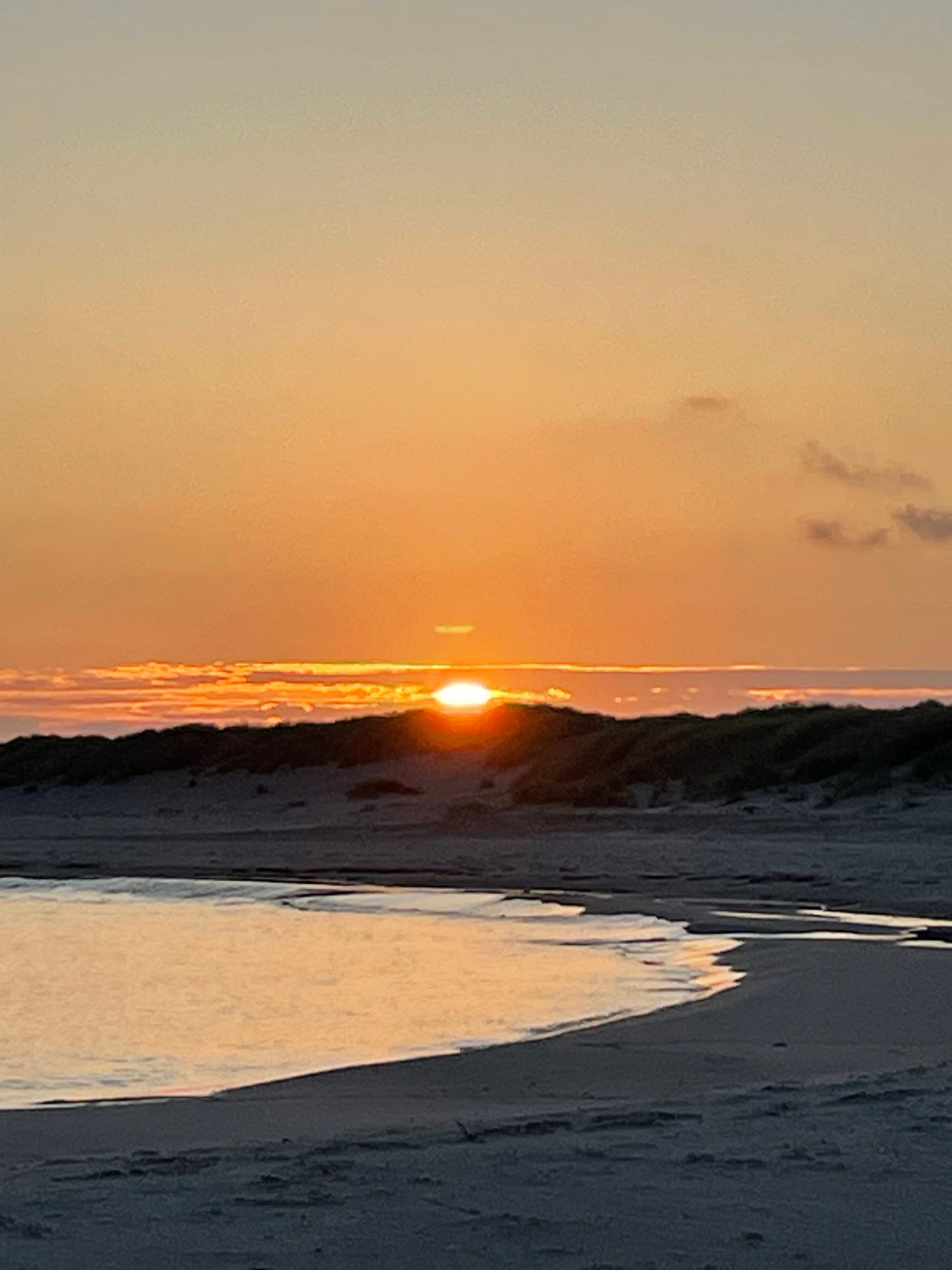 Sådan står man op hvis man går en lille tur til stranden 