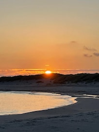 Sådan står man op hvis man går en lille tur til stranden