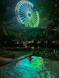 Amazing view from our private pool