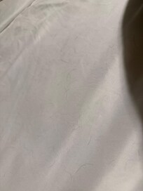 There was hair, probably pet hair, and other debris on several of the beds.