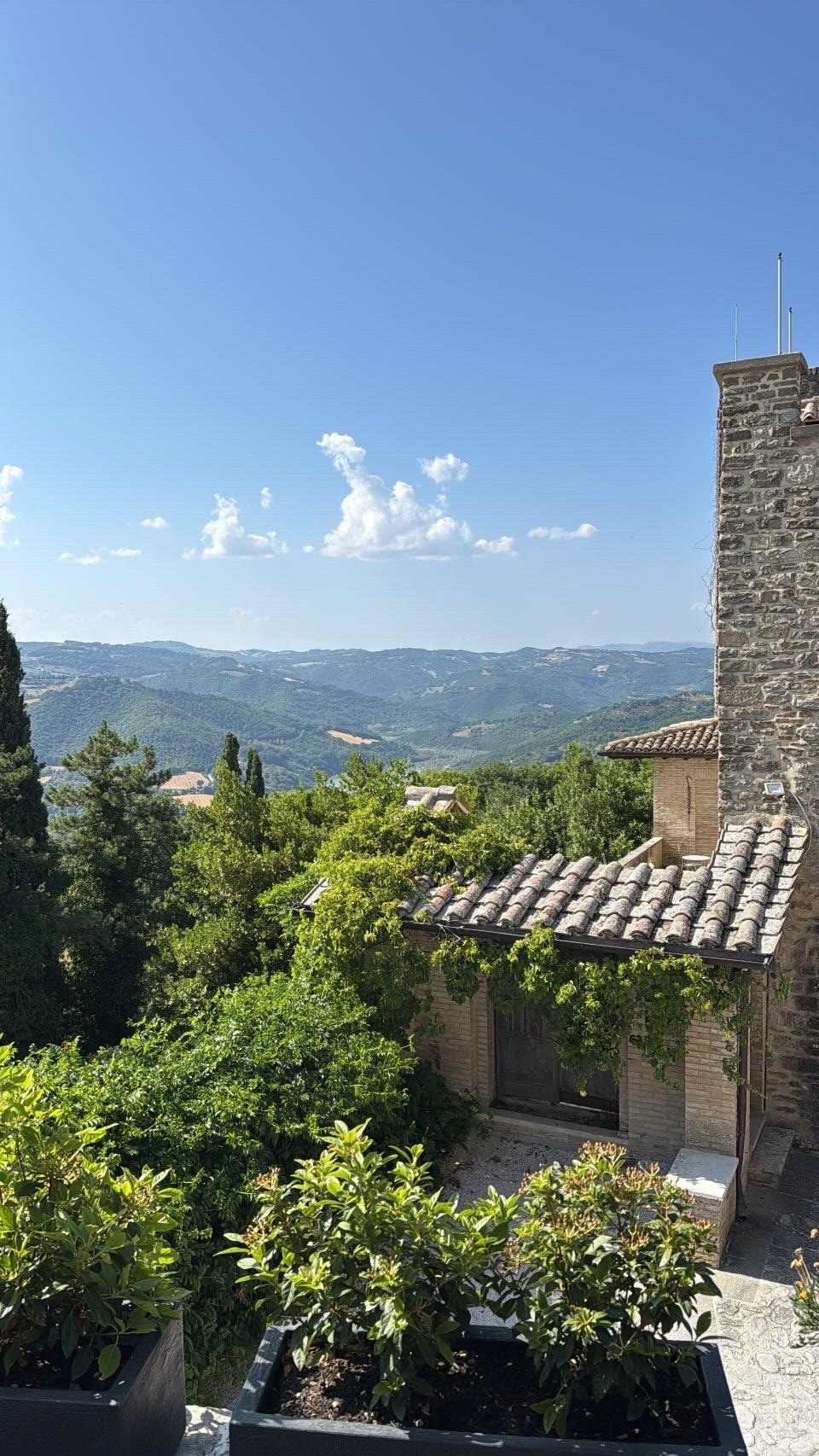Vista 