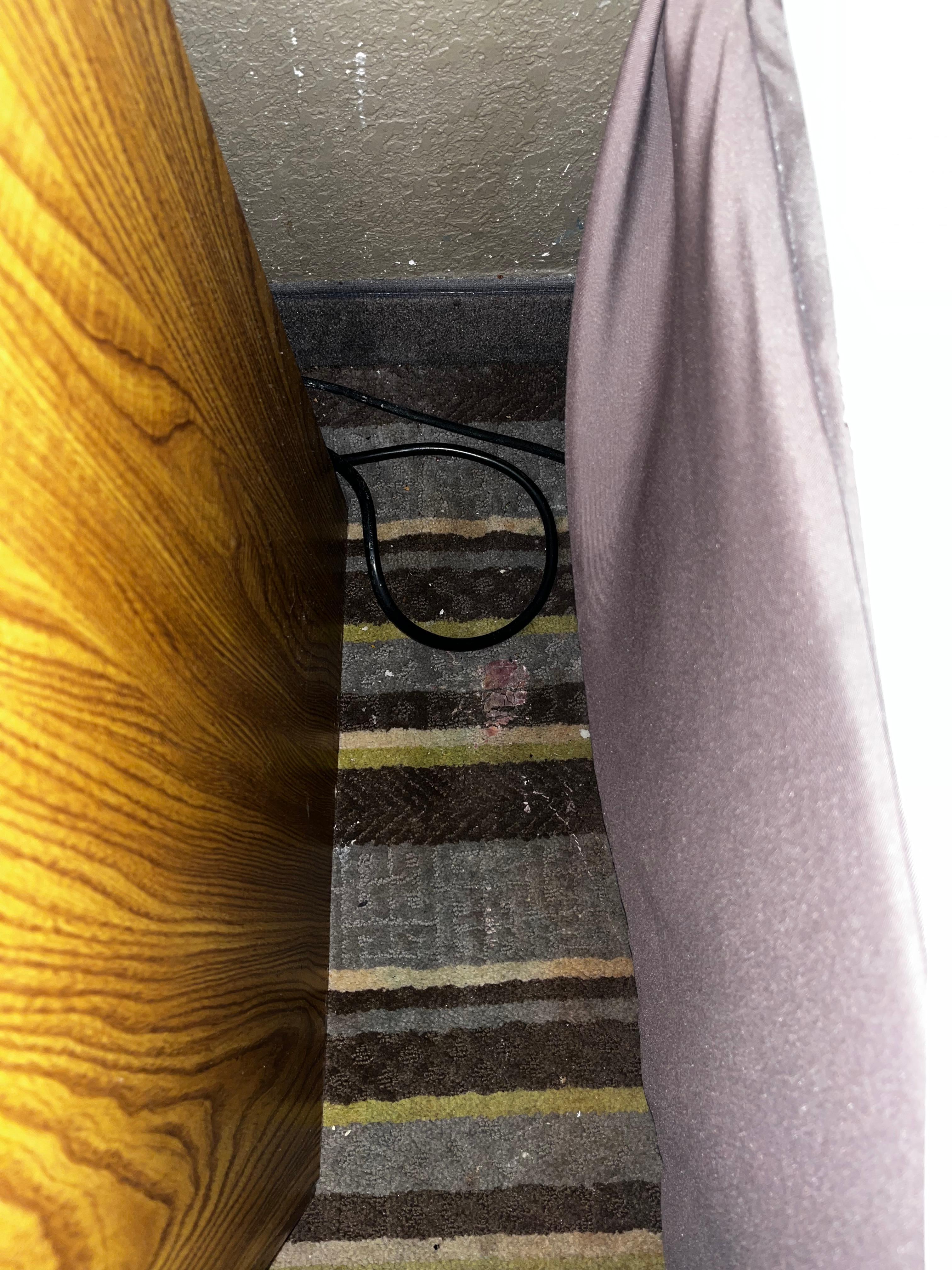 Disgusting carpets