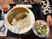 壱岐牛ハンバーグカレー
子どもが大喜びでした。