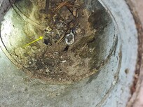 dirty ductwork