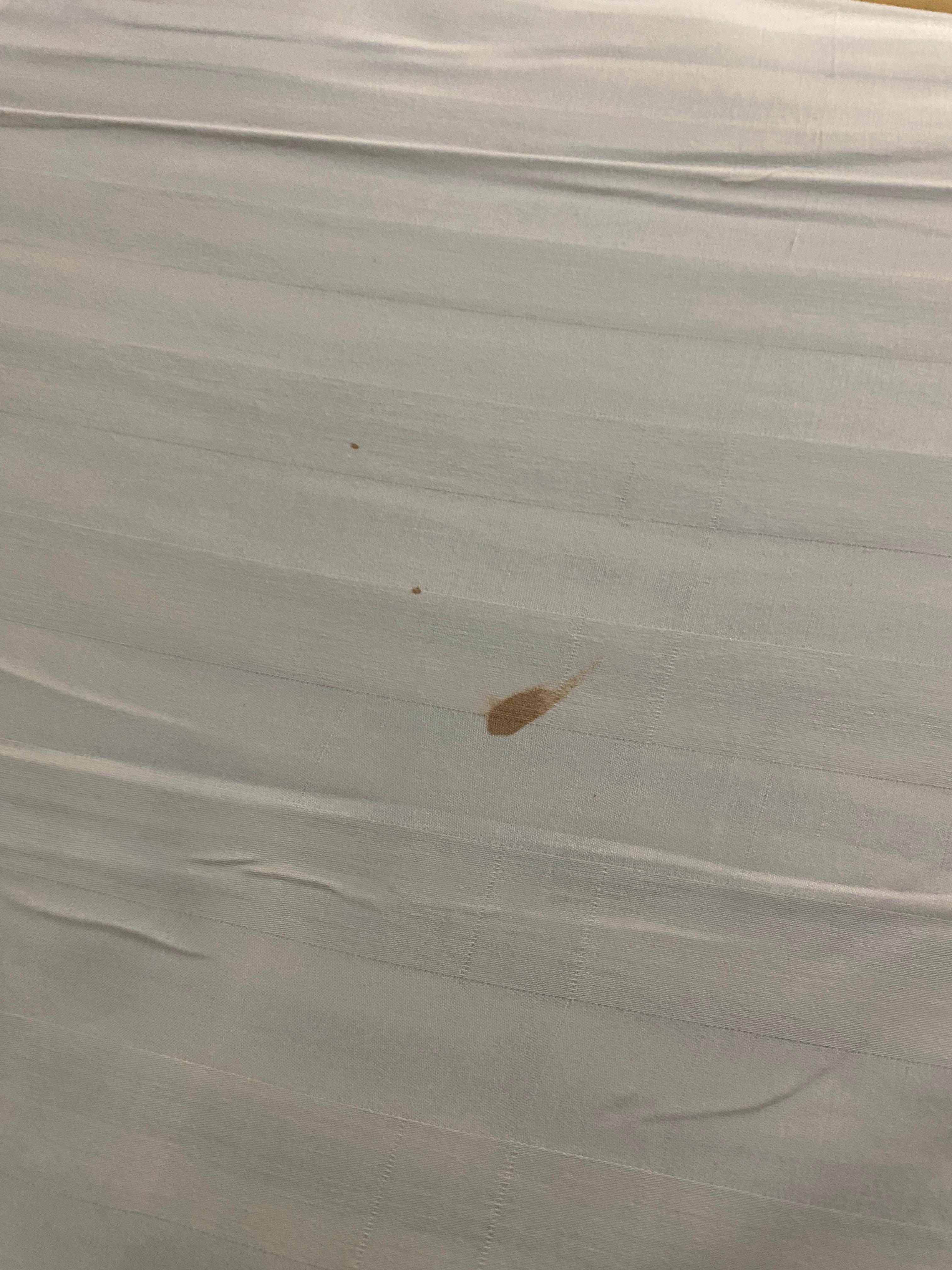 Blood stain on sheet