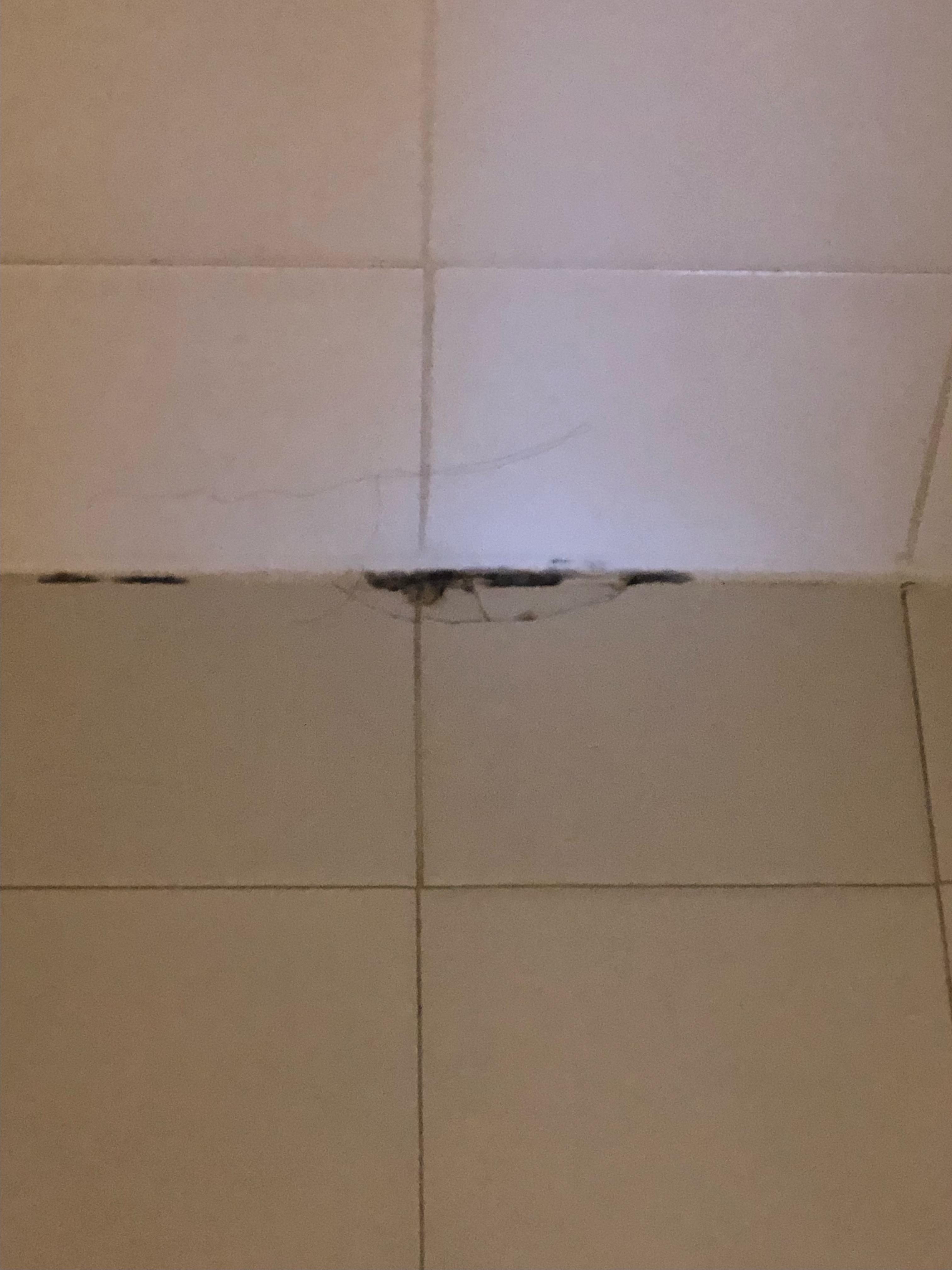 Mold in shower