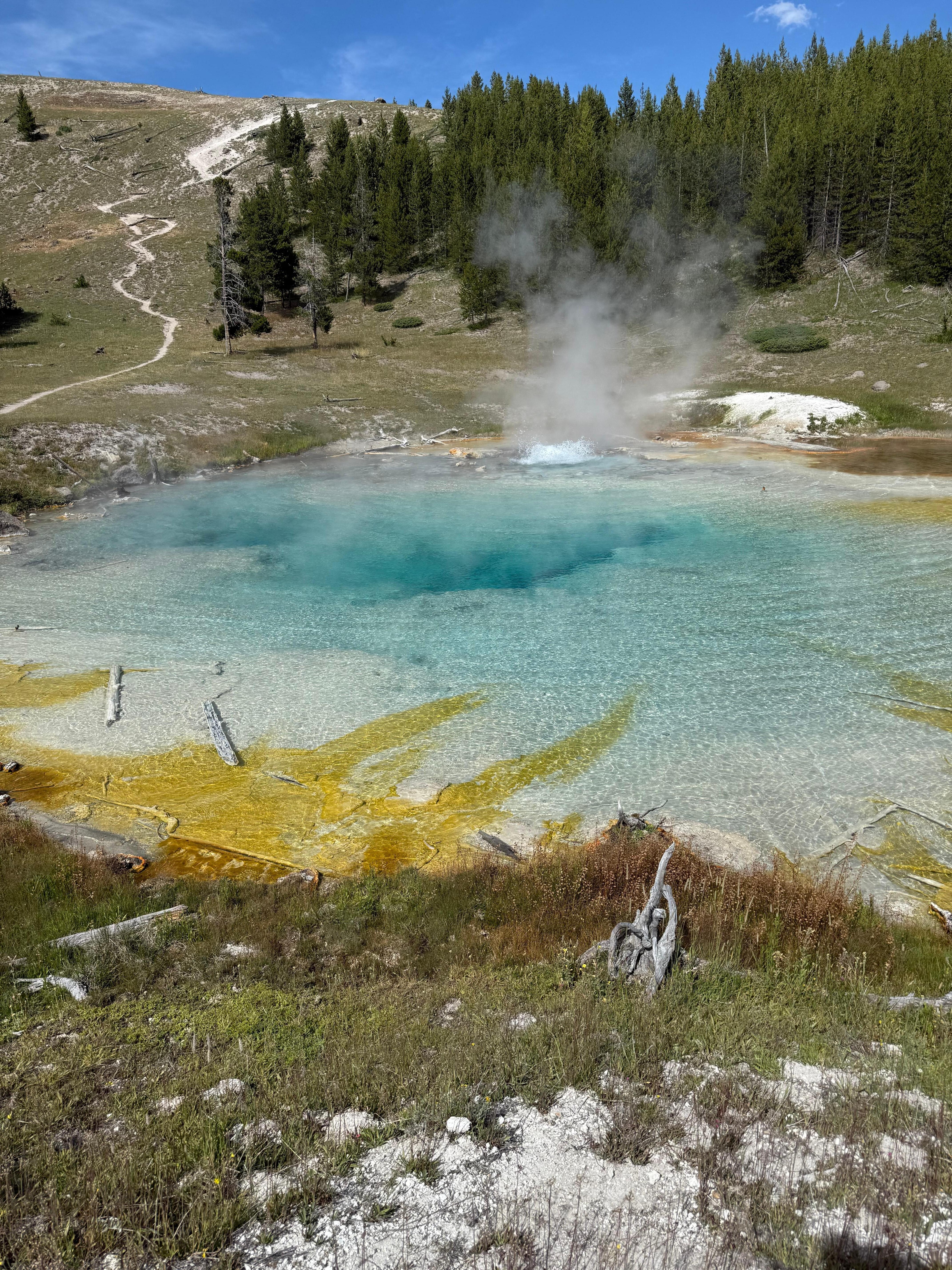 A hidden gem of a geyser past Fairy Falls.
