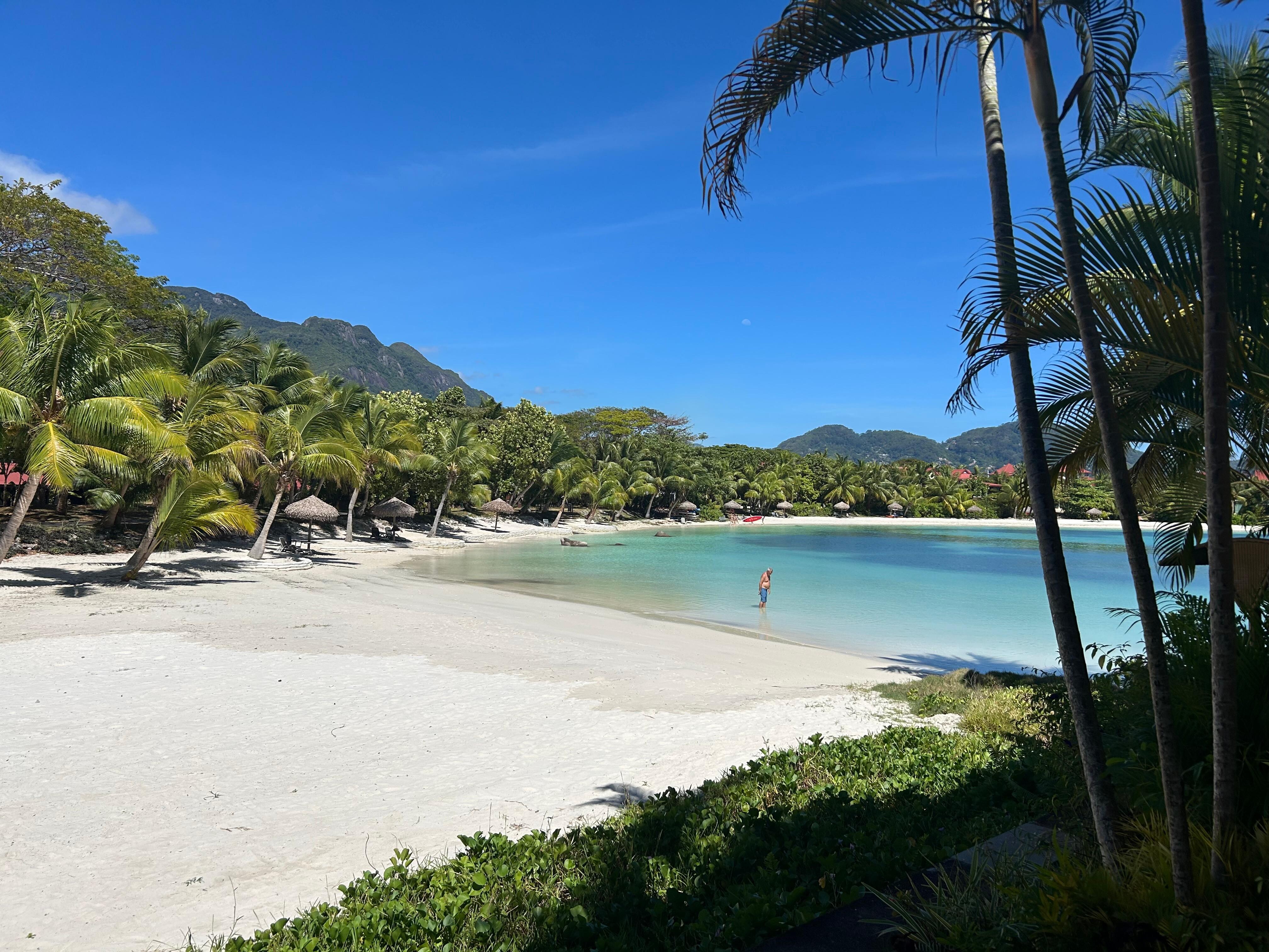 Morning coffee looking at this!