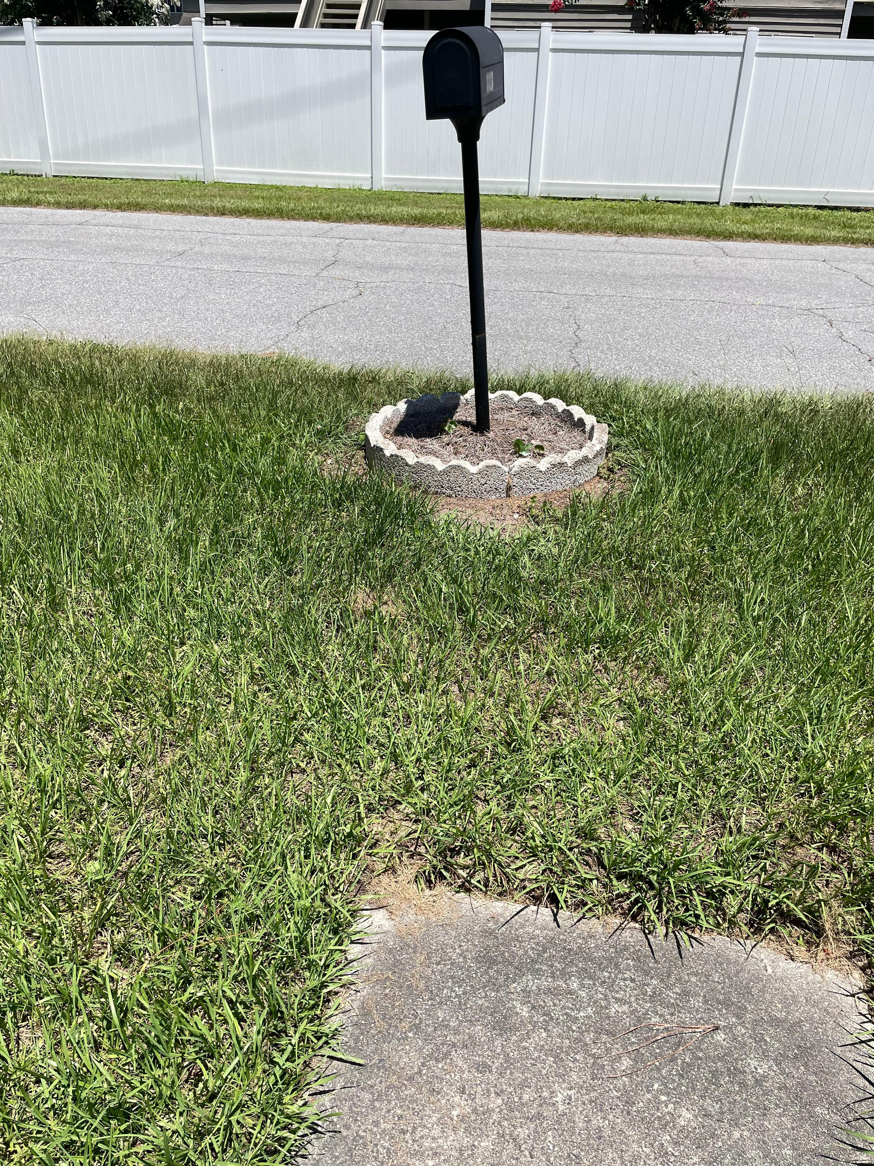This is the path we chose in the end to navigate as the other from the carport was inaccessible(overgrown) Again, the lawn was overgrown and the path did not extend to the mailbox/street.