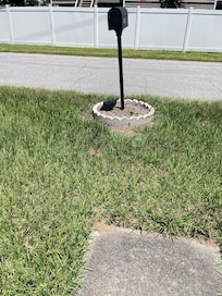 This is the path we chose in the end to navigate as the other from the carport was inaccessible(overgrown) Again, the lawn was overgrown and the path did not extend to the mailbox/street.