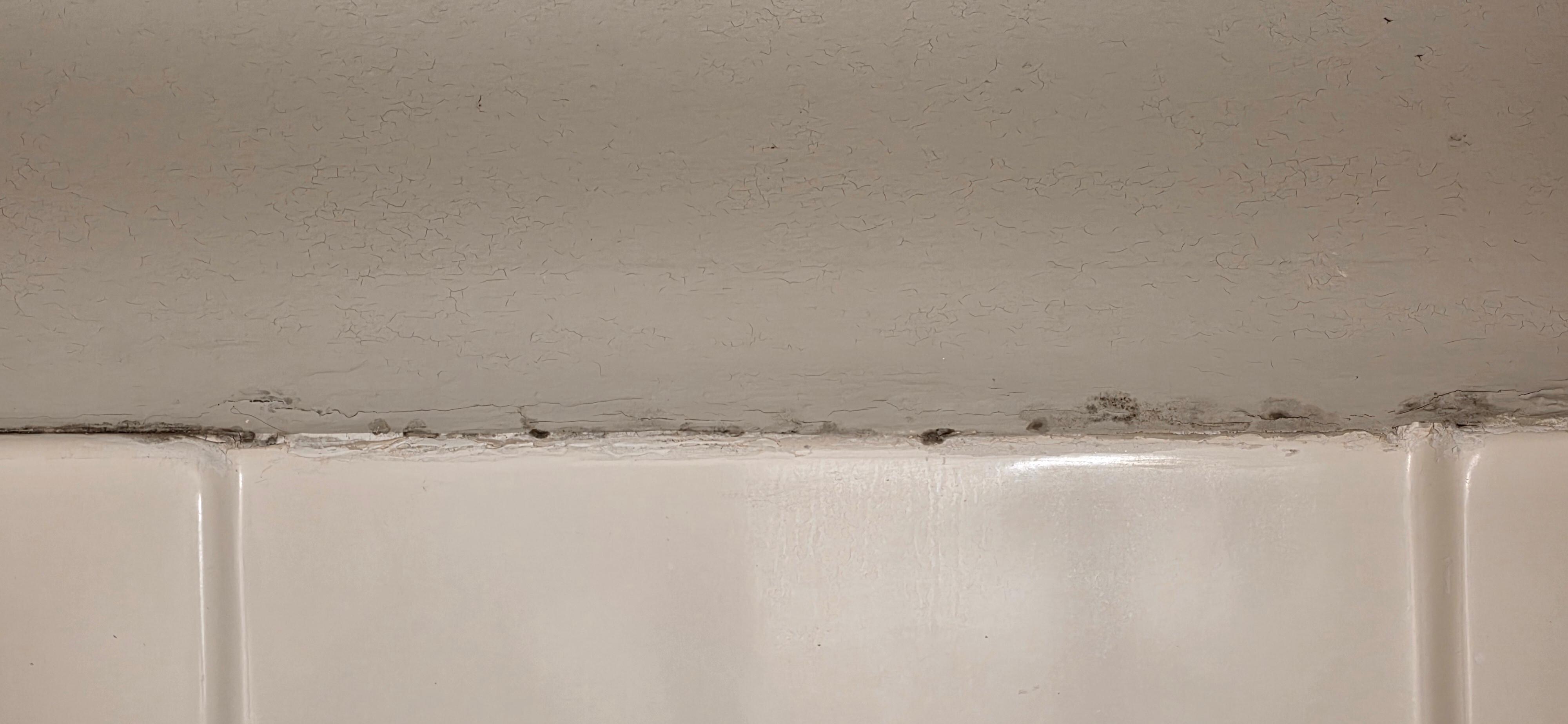 Mold in shower