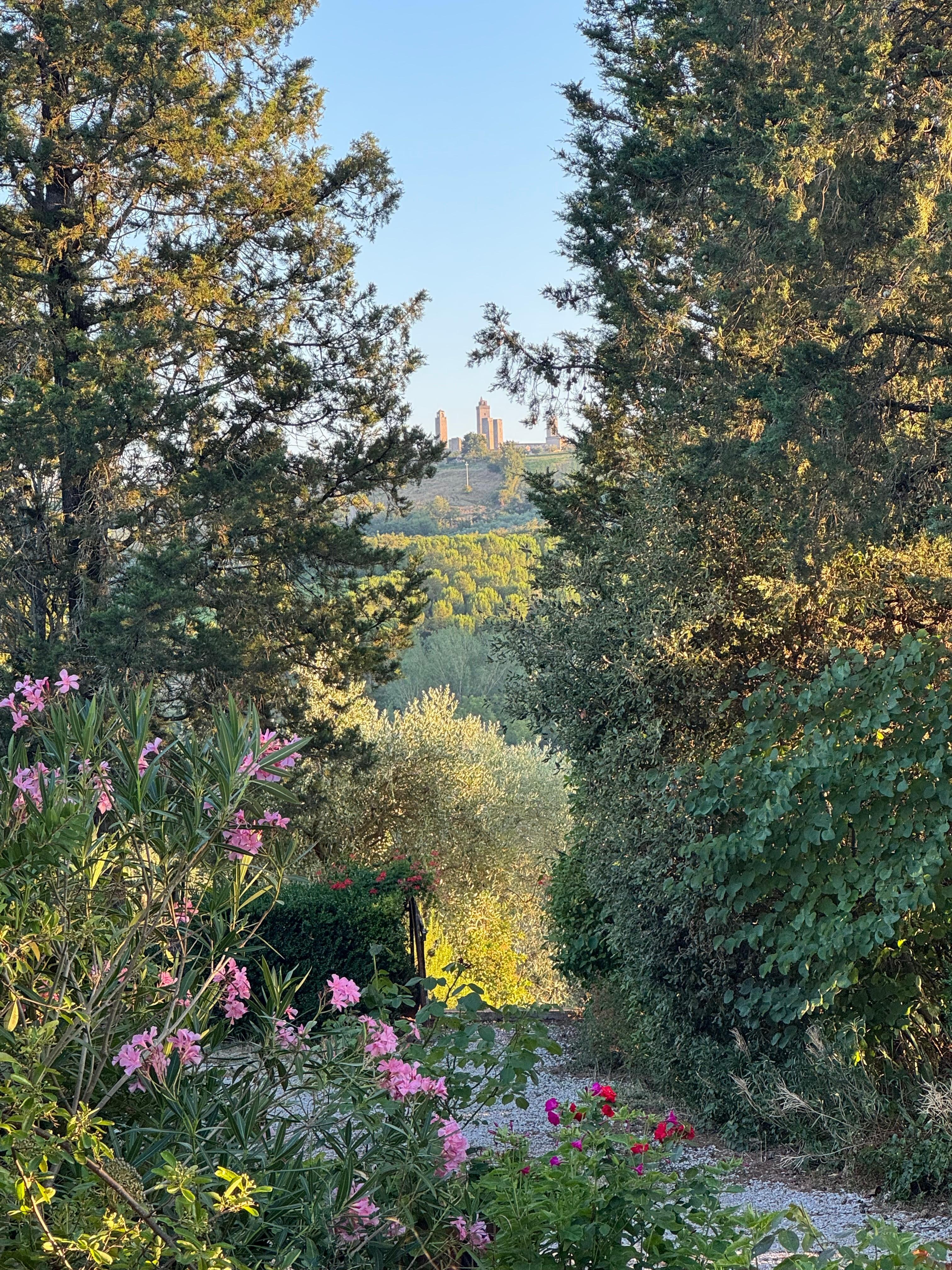 GrĂžnt, frodigt og smukt.