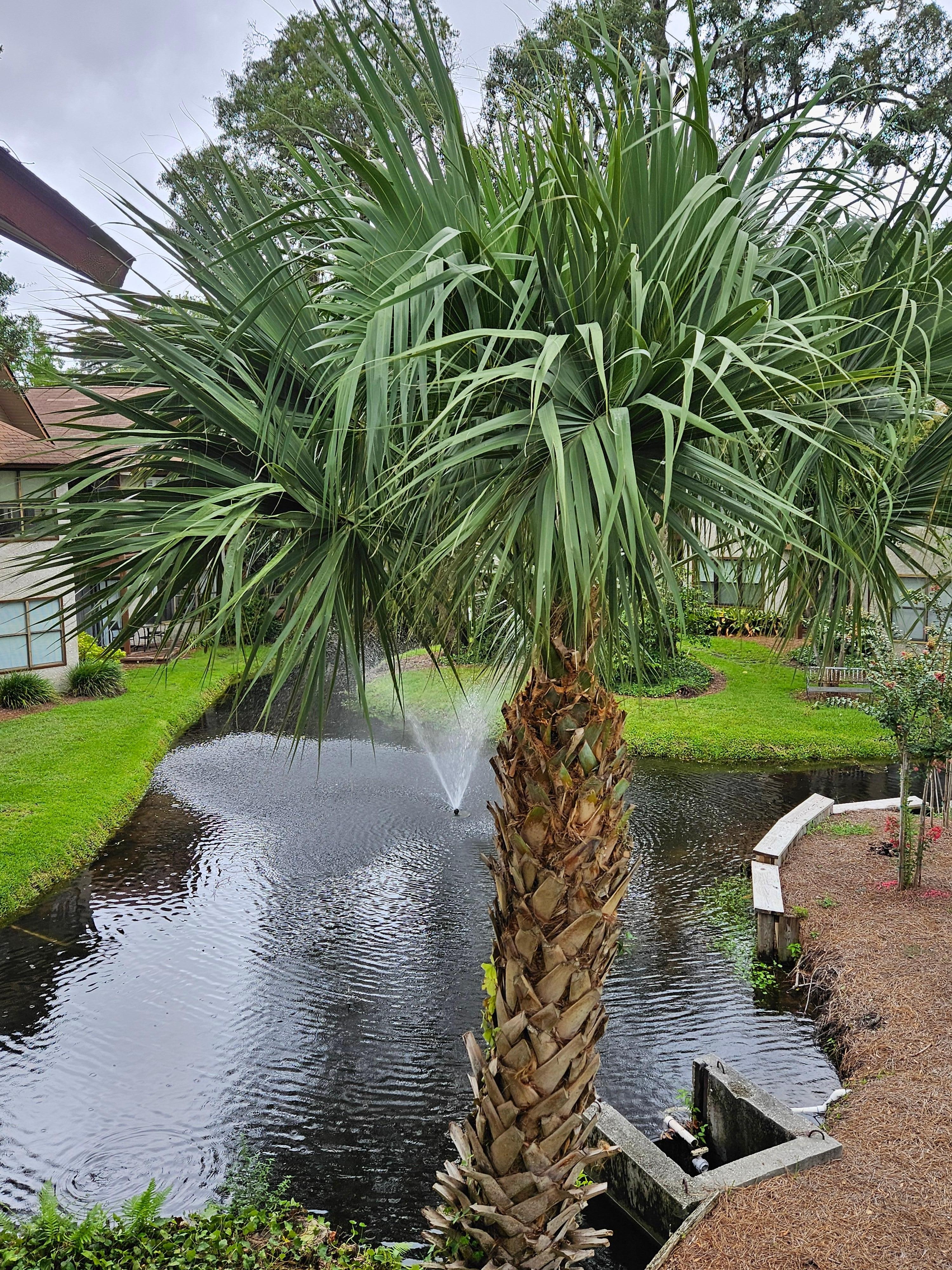 Lagoon from the porch