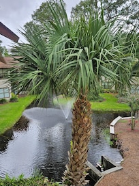 Lagoon from the porch