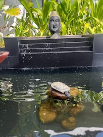 Spa was the best part of my stay!