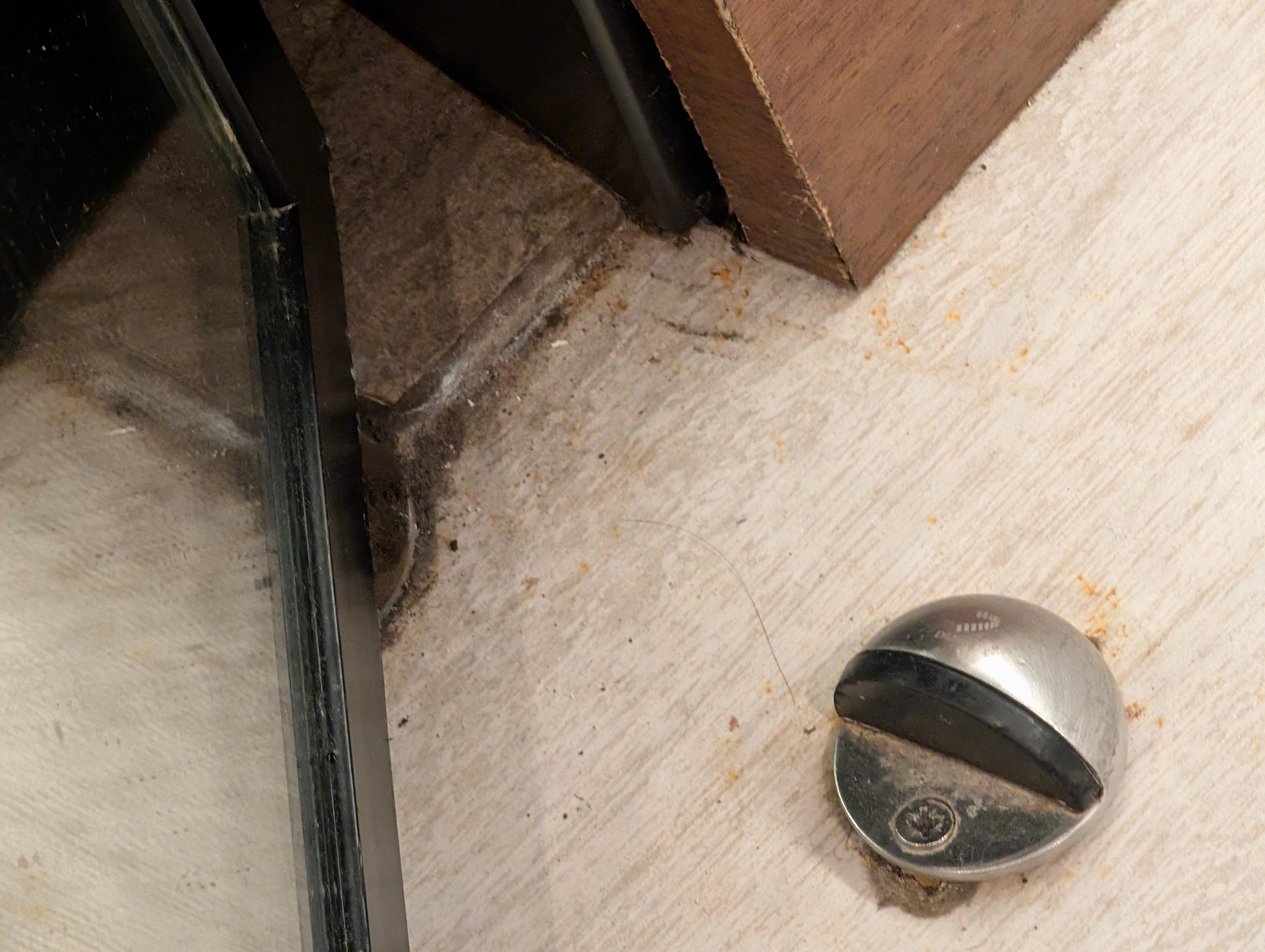 When I asked 1 housekeeper if she sees that, she said yes that's a door stopper. 😁