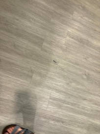 Marker on floor