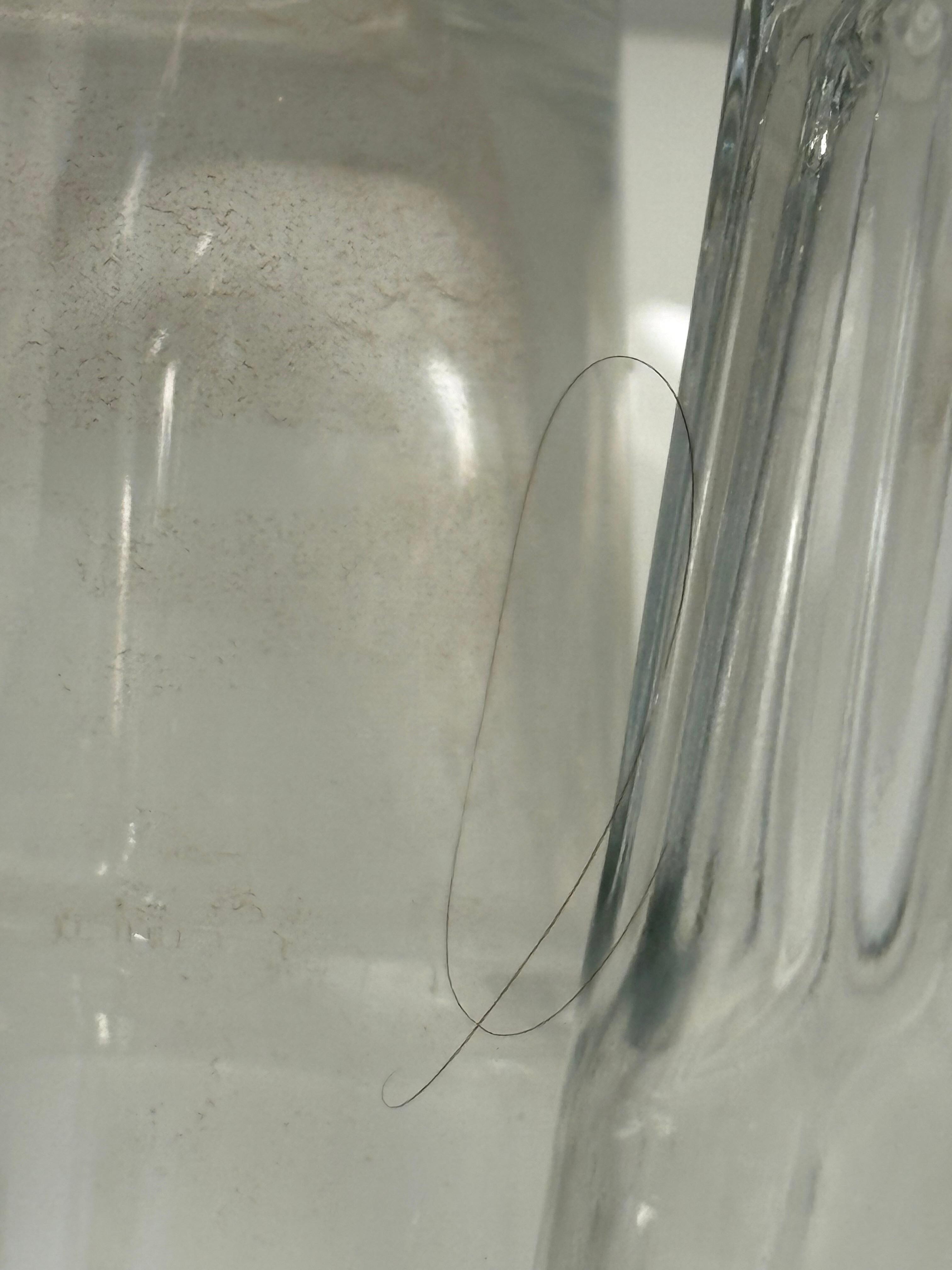 Hair between dirty glasses in kitchen cabinet. 