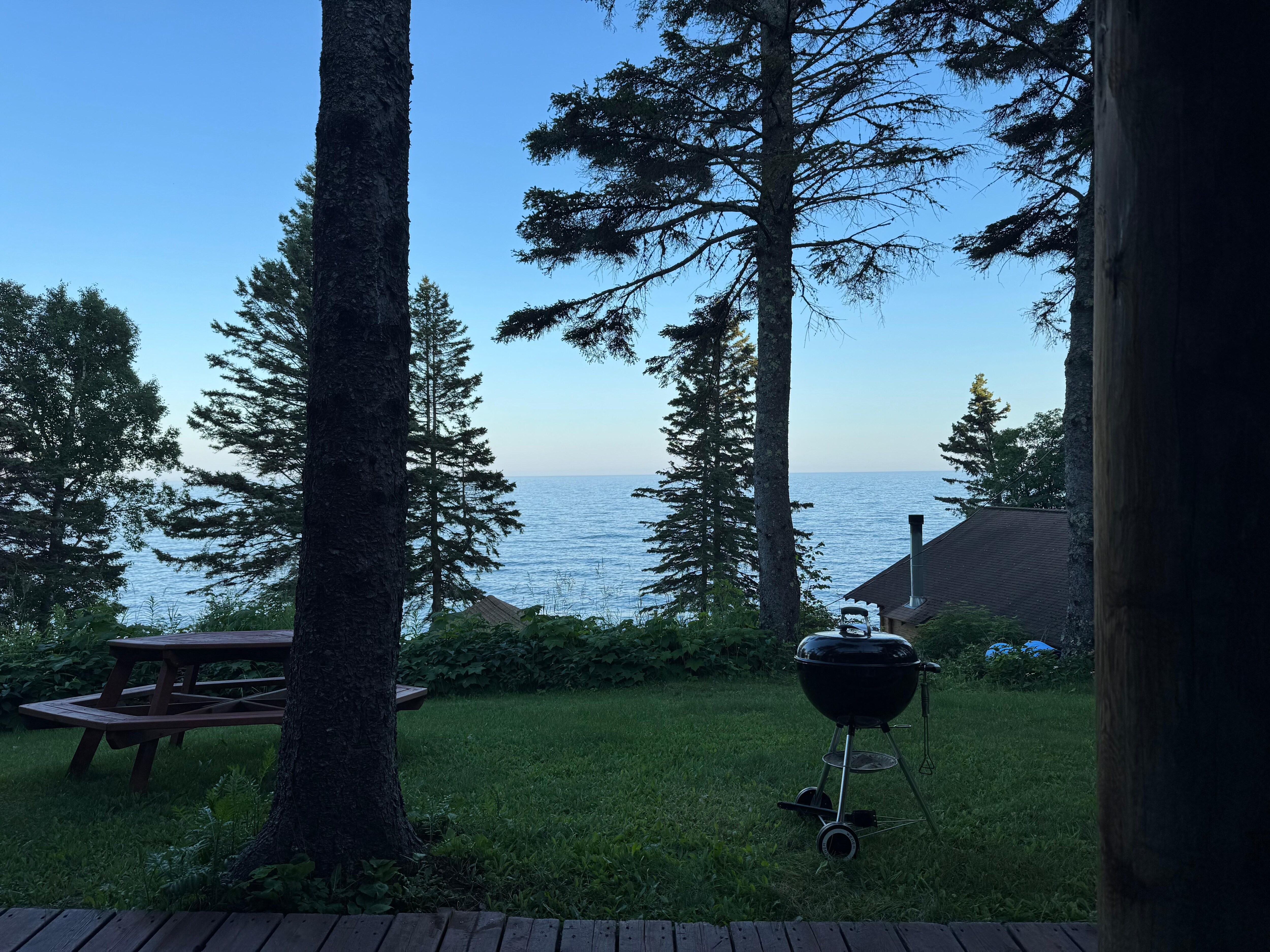 The view 