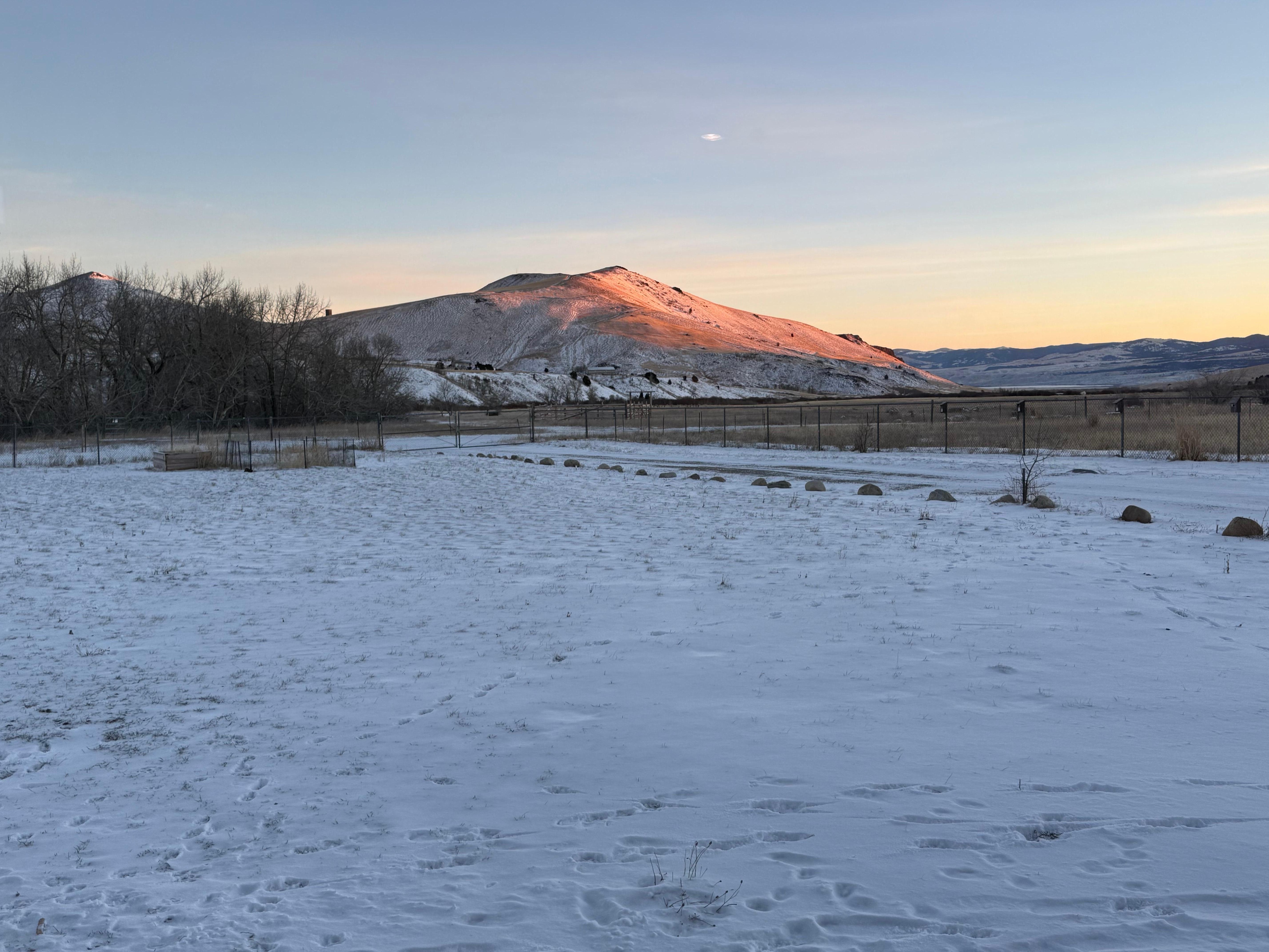 View from the east window.