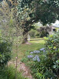 Very comfortable room!