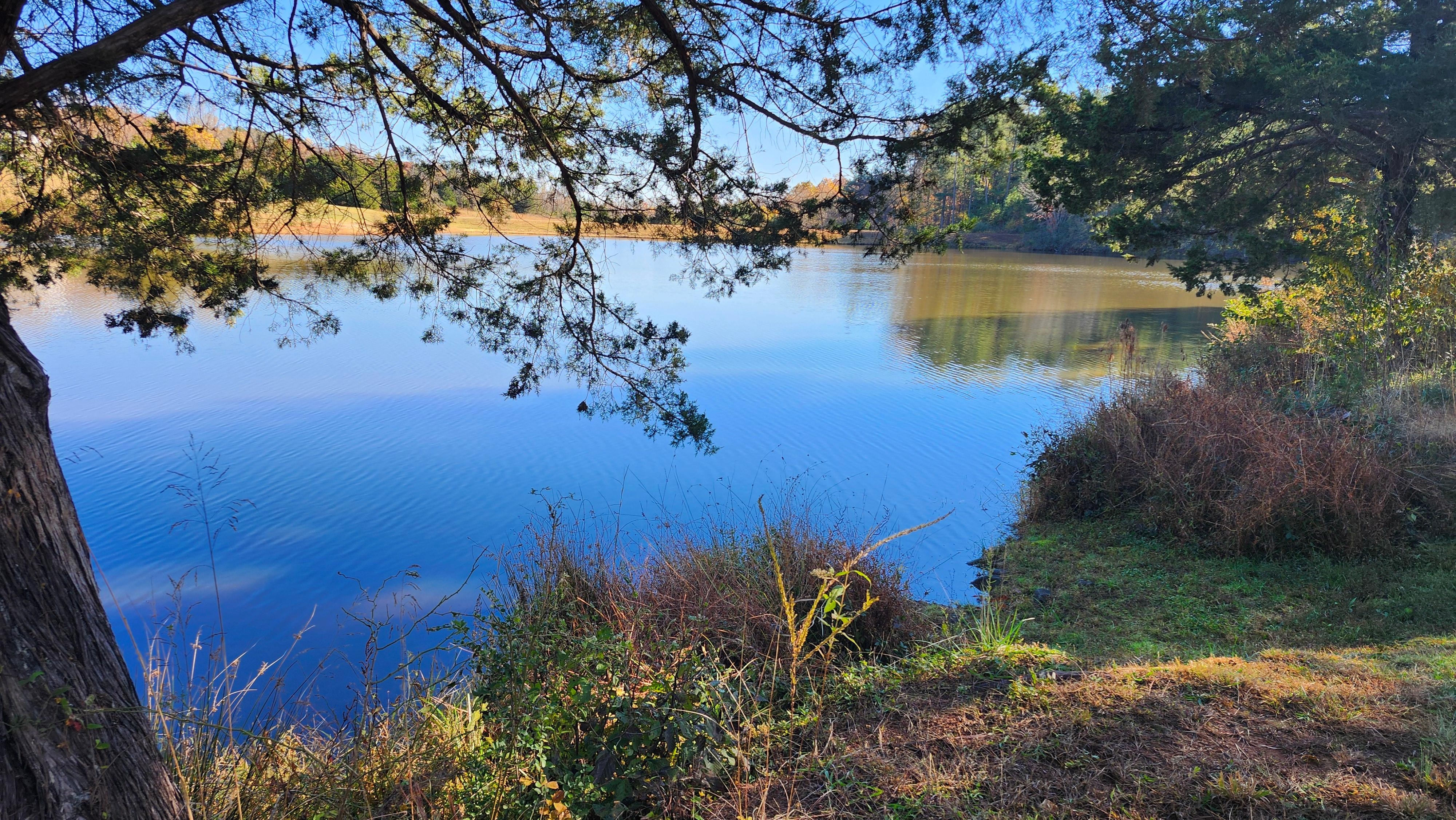 A walk from the house to this peaceful pond.