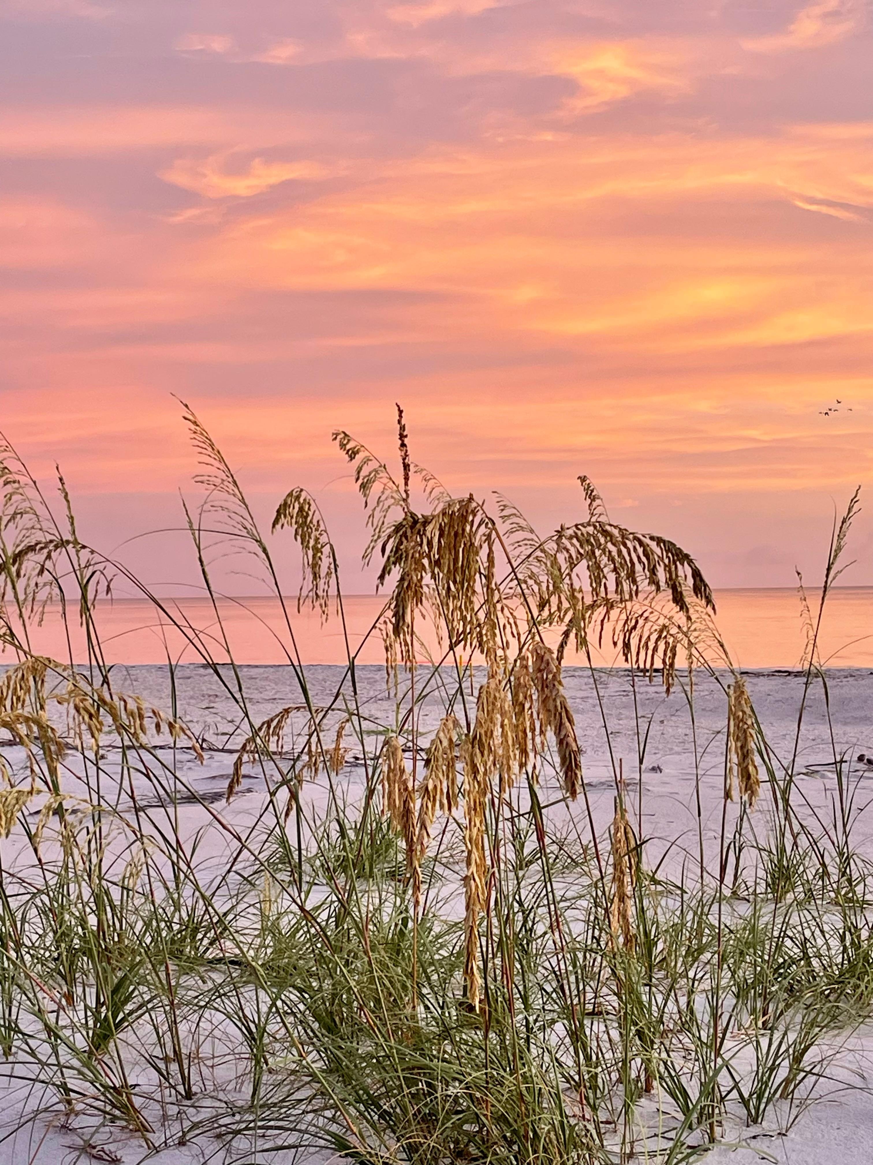 The views are amazing!