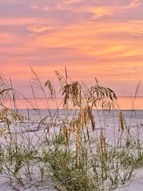 The views are amazing!