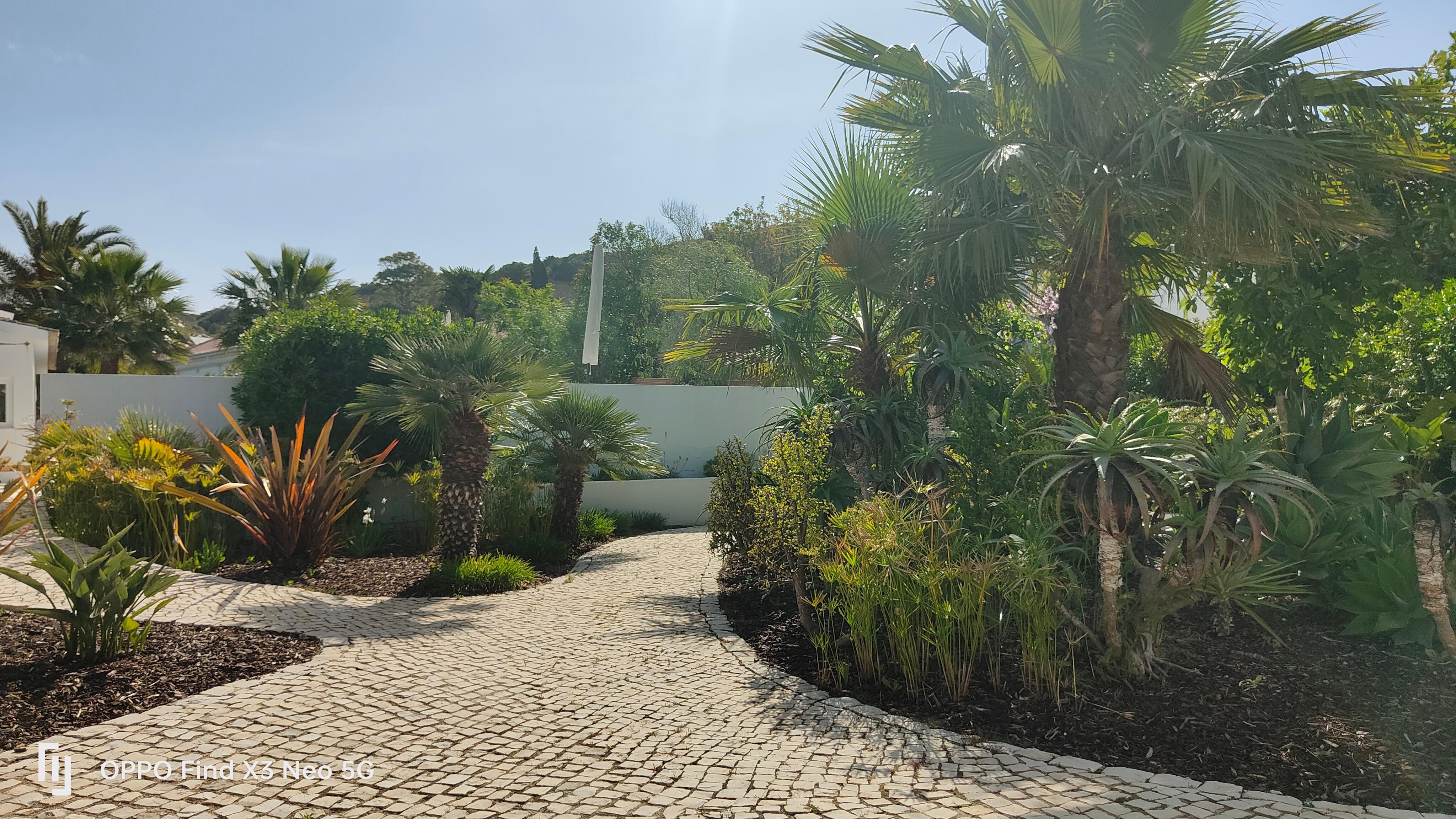 The garden adjacent to the front gate.