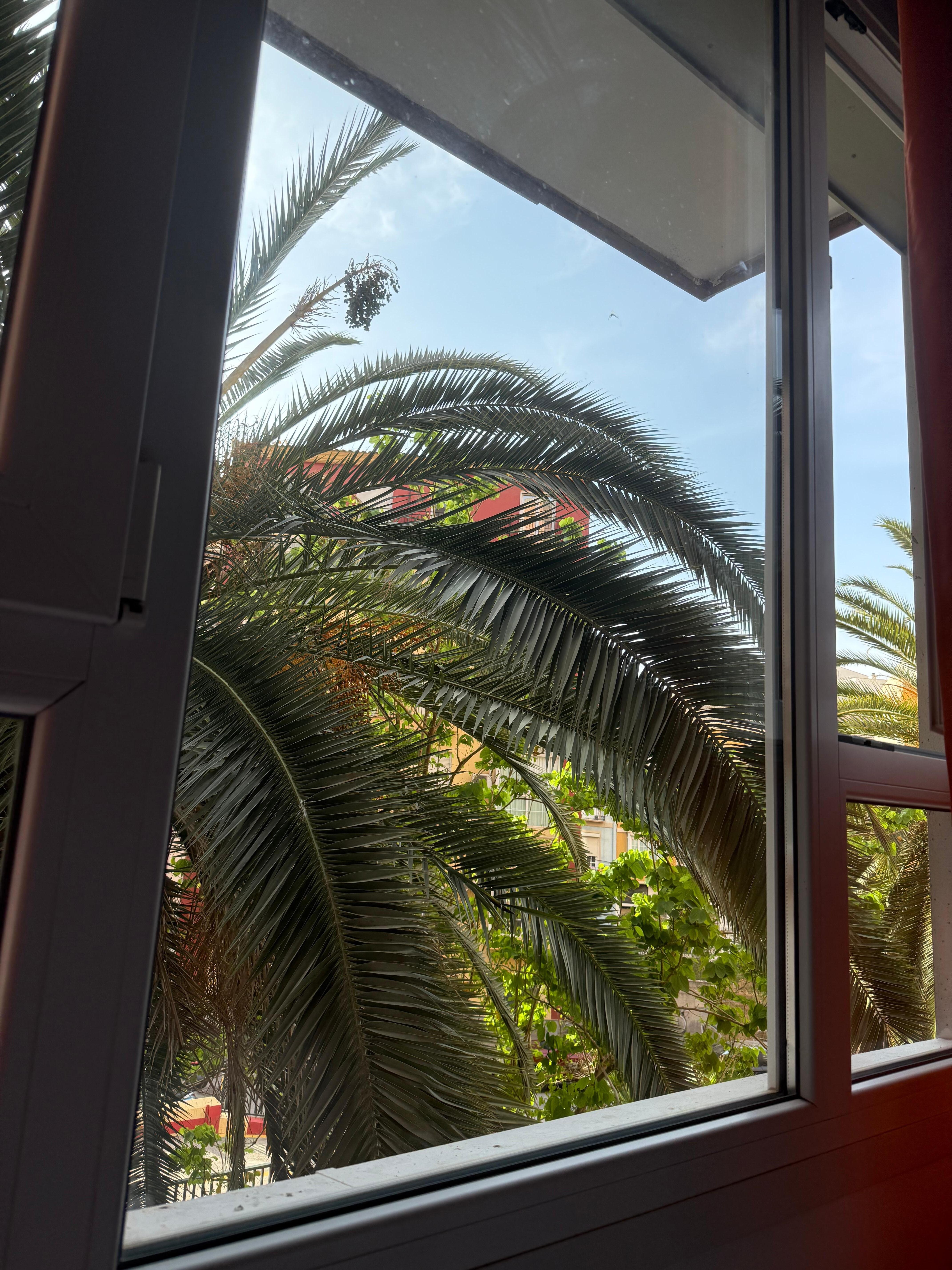 Hotel window view