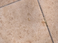 Hard body wax stuck to floor