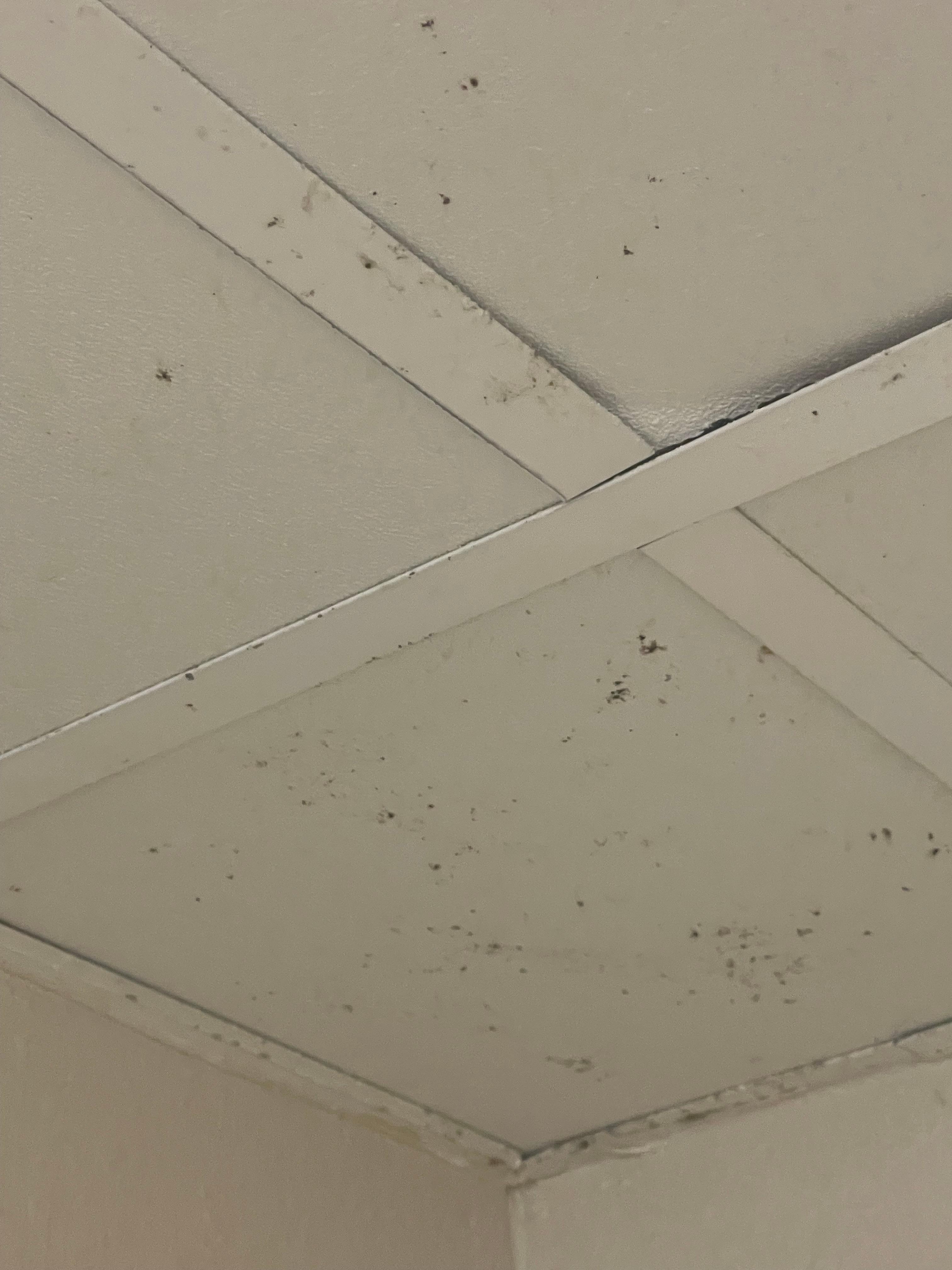 More mold and mildew