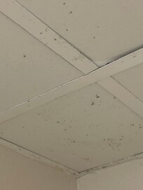 More mold and mildew