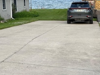 Mayflies all over the driveway, car, house, etc