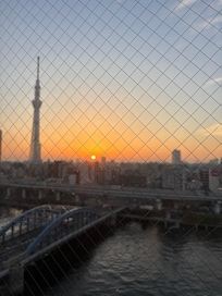 朝日を眺める