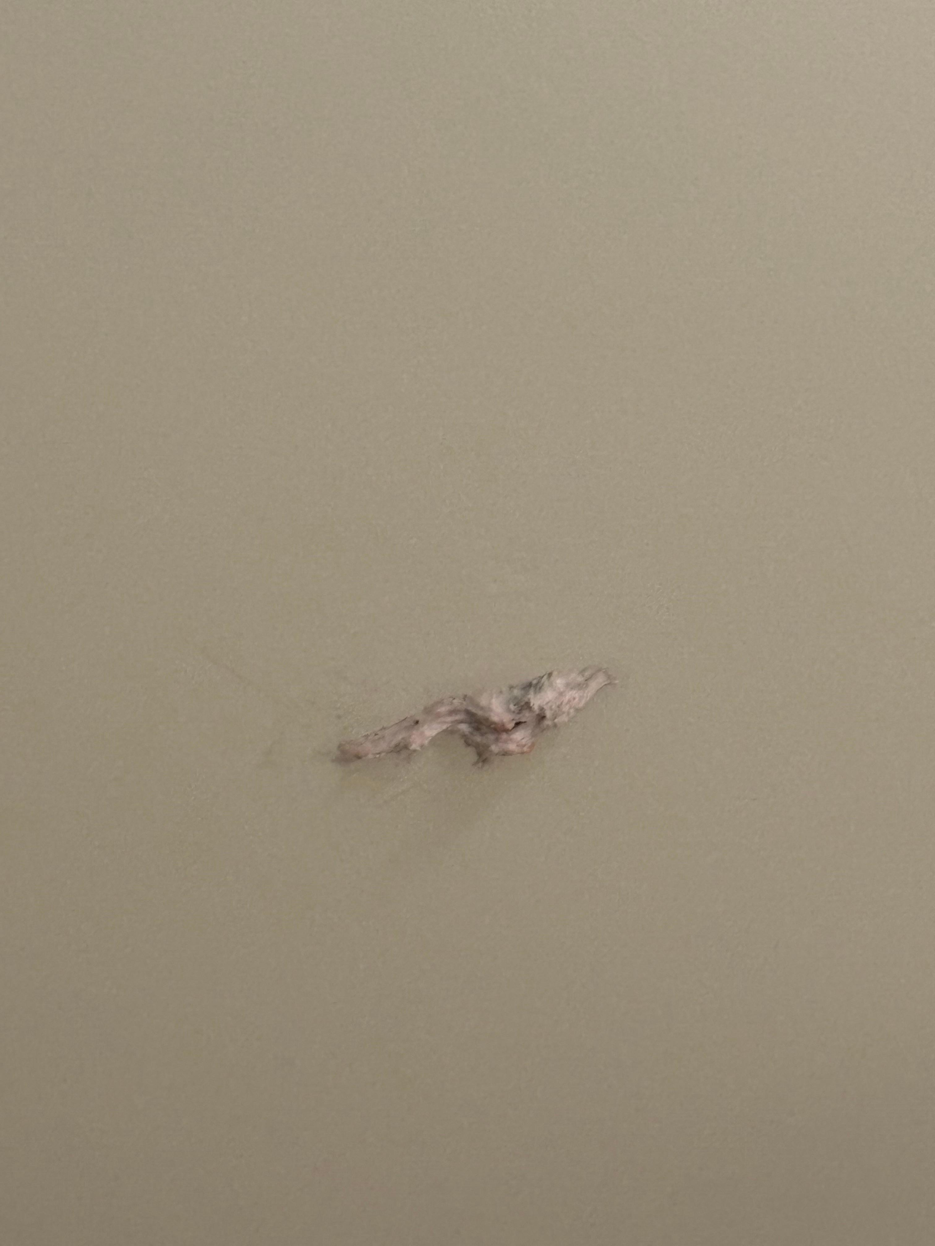 Mystery glop on the ceiling. 