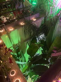 Rooftop garden