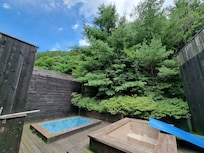 Private pool and jacuzzi next to the bathroom.
