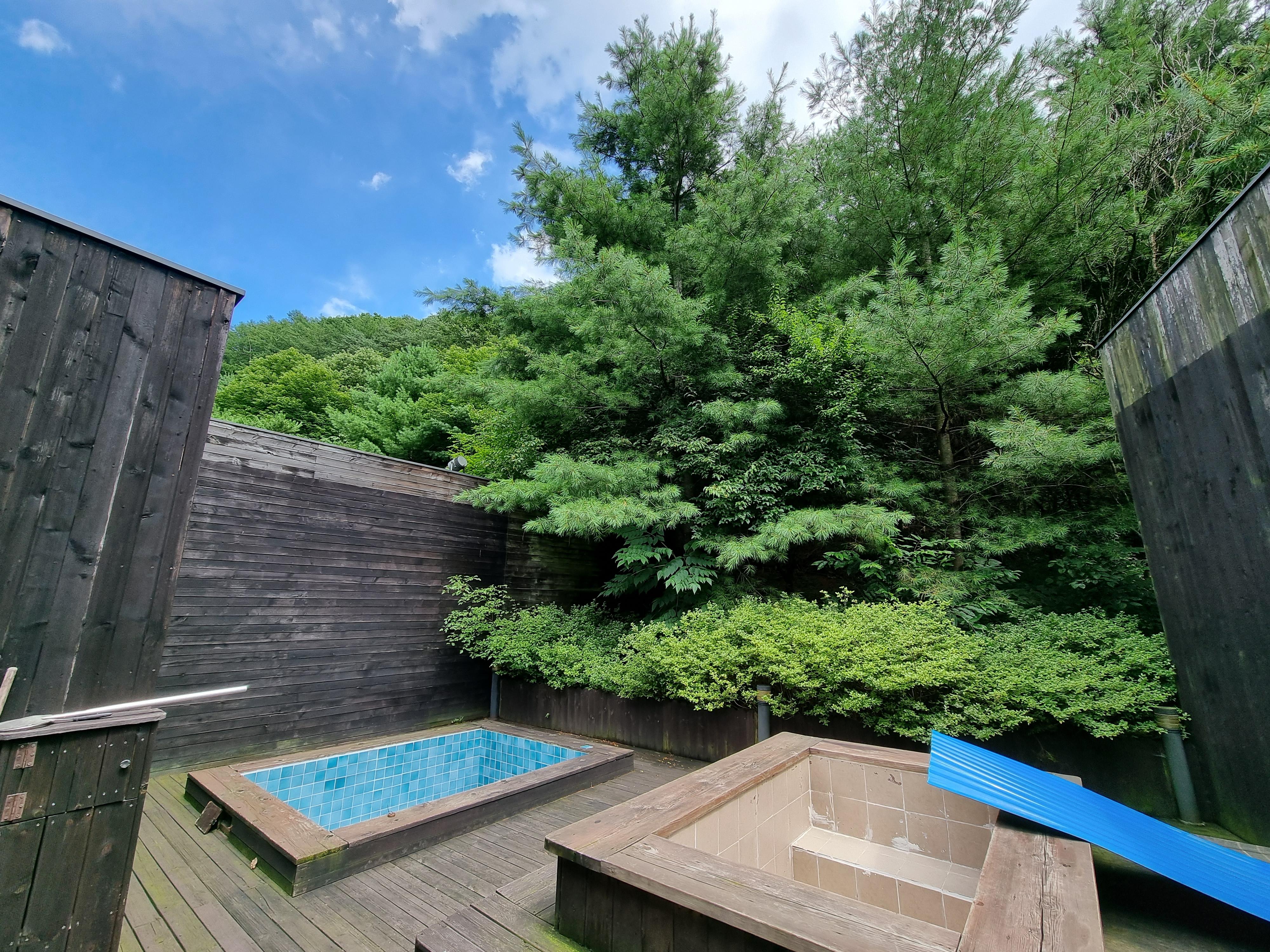 Private pool and jacuzzi next to the bathroom.