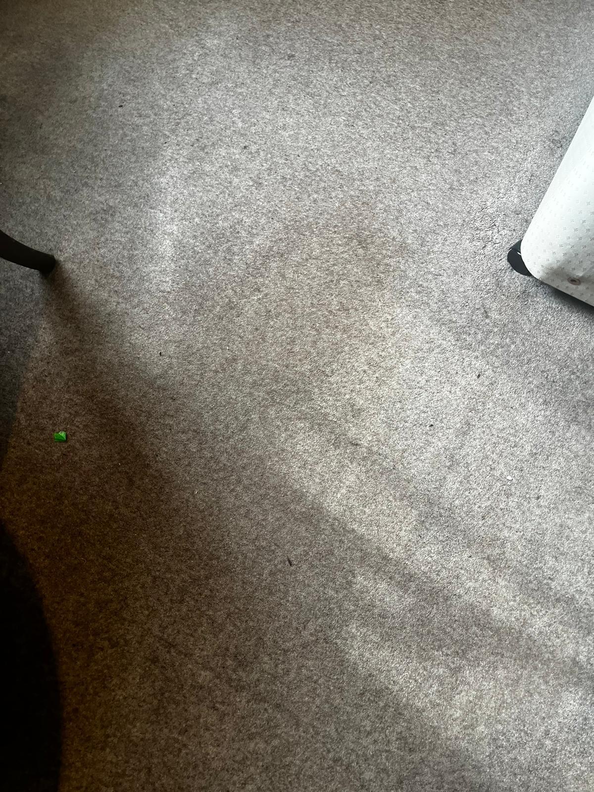 Dirty stained carpets which have never seen a vacuum cleaner 