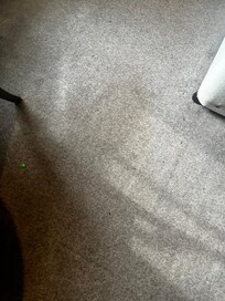 Dirty stained carpets which have never seen a vacuum cleaner