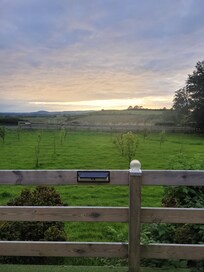View from the cabin