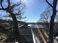 View from Oak cabin
