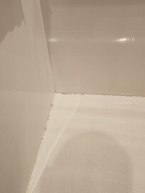 Shower stains