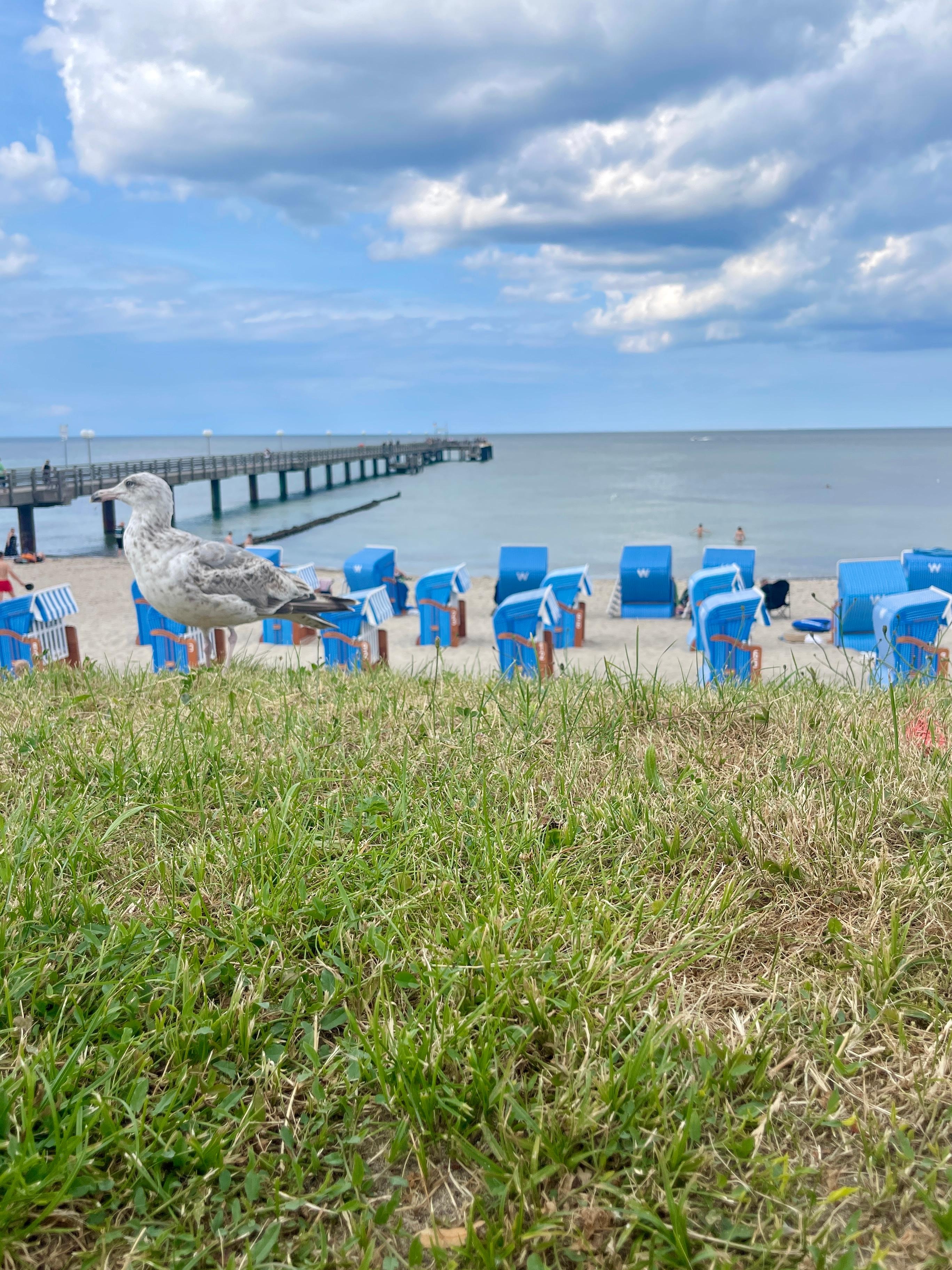 Seebrücke Kühlungsborn