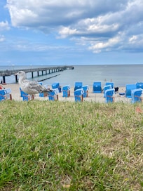 Seebrücke Kühlungsborn