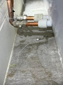 Cobwebs and dust behind bath