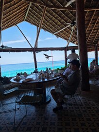 The Hawk Guy at Caribe (keeps the crows away)